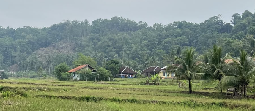 Musyawarah Desa 2024