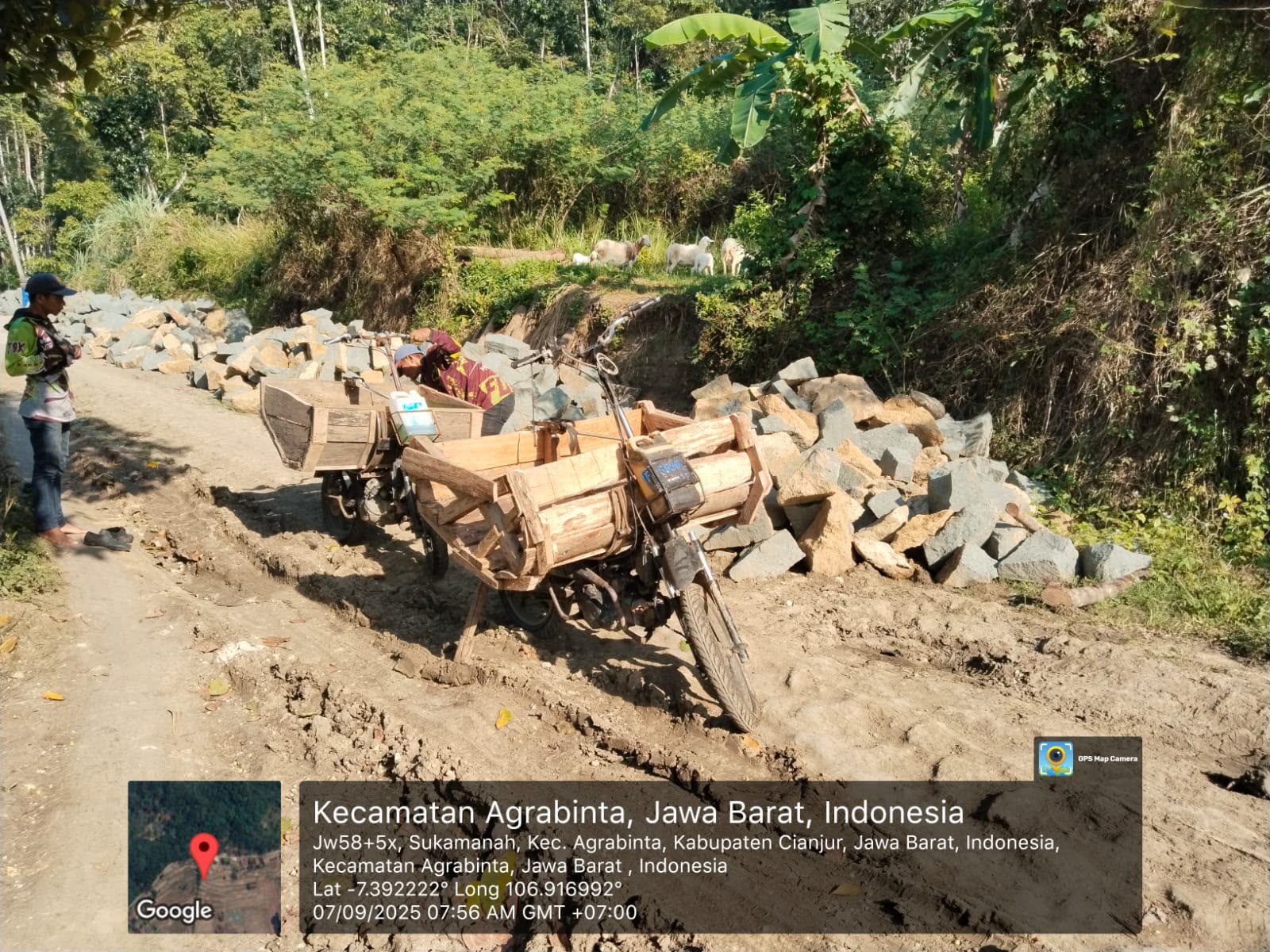 Pelatihan Budidaya Kopi Arabika untuk Petani Desa